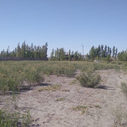 WhatsApp-Image-2025-06-04-at-17.38.16-1