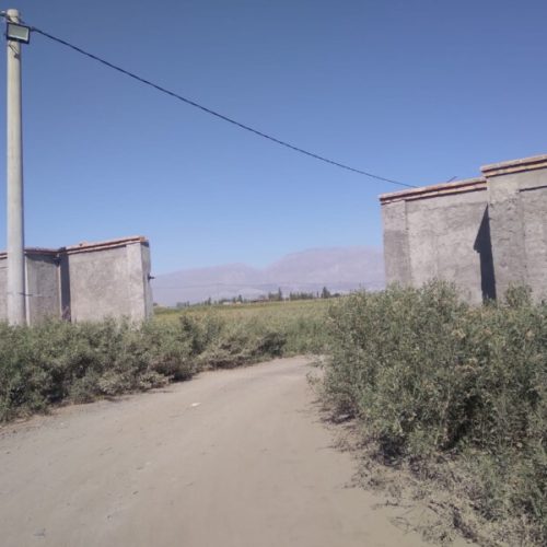 WhatsApp-Image-2025-06-04-at-17.38.16-2