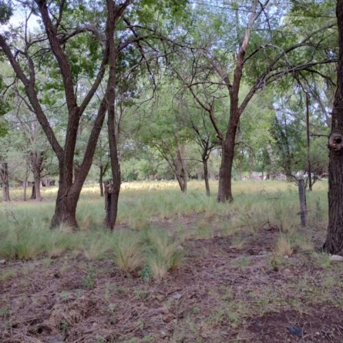 WhatsApp-Image-2025-06-06-at-12.25.42-2