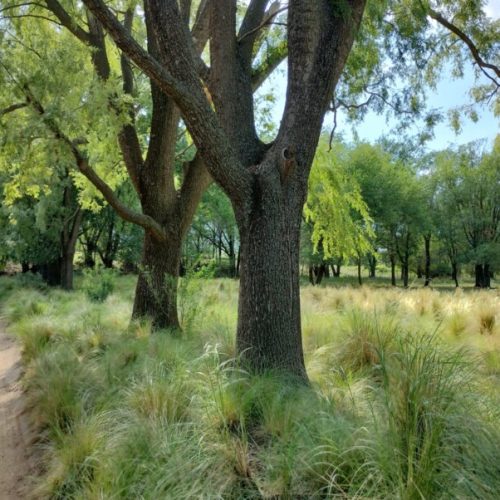 WhatsApp-Image-2025-06-06-at-12.25.43-1-1