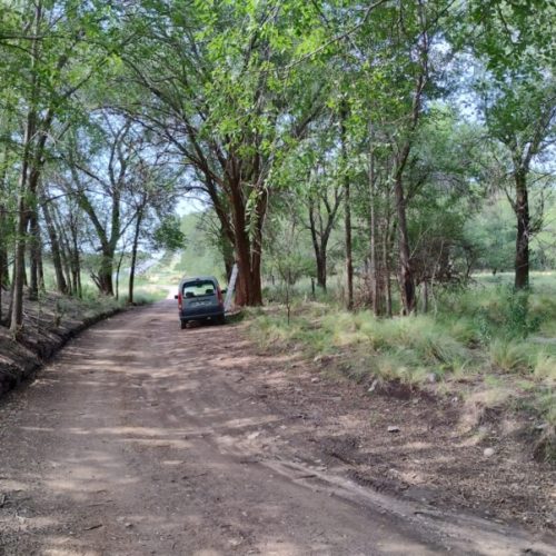 WhatsApp-Image-2025-06-06-at-12.25.43-2