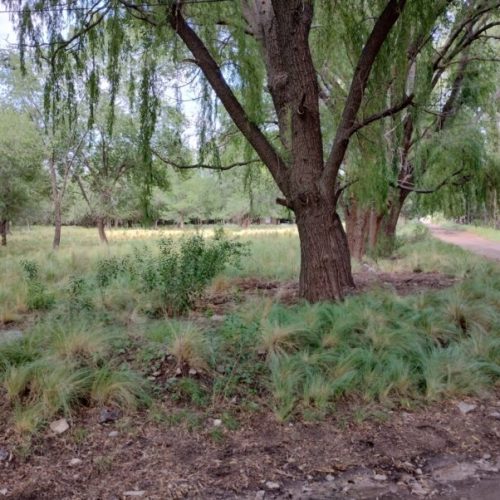 WhatsApp-Image-2025-06-06-at-12.25.43