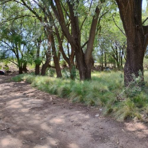 WhatsApp-Image-2025-06-06-at-12.25.44