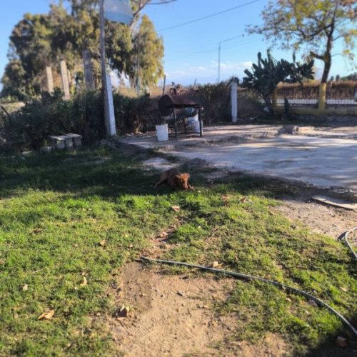 WhatsApp-Image-2025-06-09-at-17.57.25-5