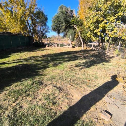 WhatsApp-Image-2025-06-09-at-17.57.25