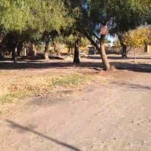 WhatsApp-Image-2025-06-09-at-18.27.39