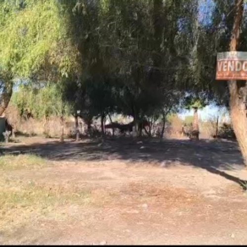 WhatsApp-Image-2025-06-09-at-18.28.03