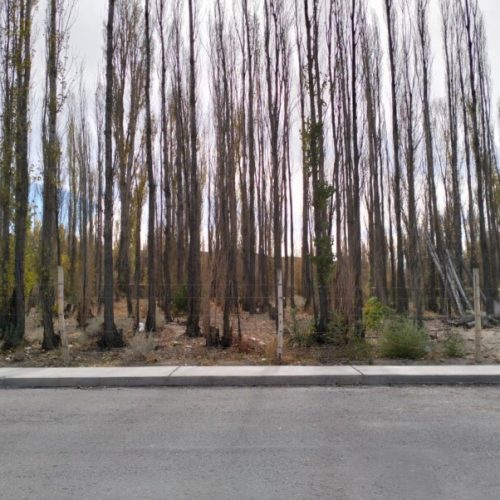 WhatsApp-Image-2025-06-09-at-18.53.15-1